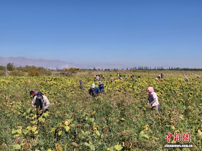 想了解更多九游手游相关内容，尽在九游linweitian。 - 九游linweitian